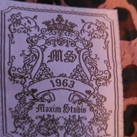 Maxim Studio - Picture 10 of 14